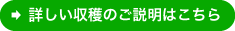 詳しい収穫のご説明はこちら