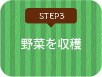 STEP3 野菜を収穫