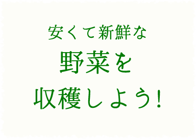 安くて新鮮な野菜を収穫しよう！