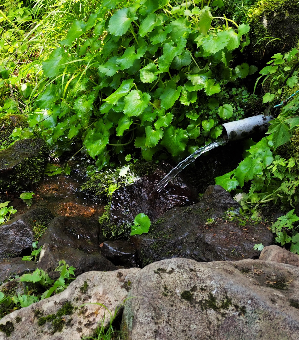 天然水の写真