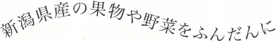 新潟県産の果物や野菜をふんだんに